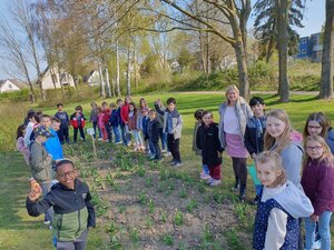 Tulpenverkauf1