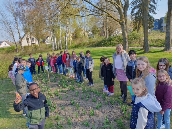 Tulpenverkauf1