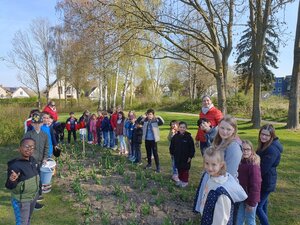 Tulpenverkauf2