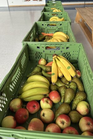 Obst 26-27